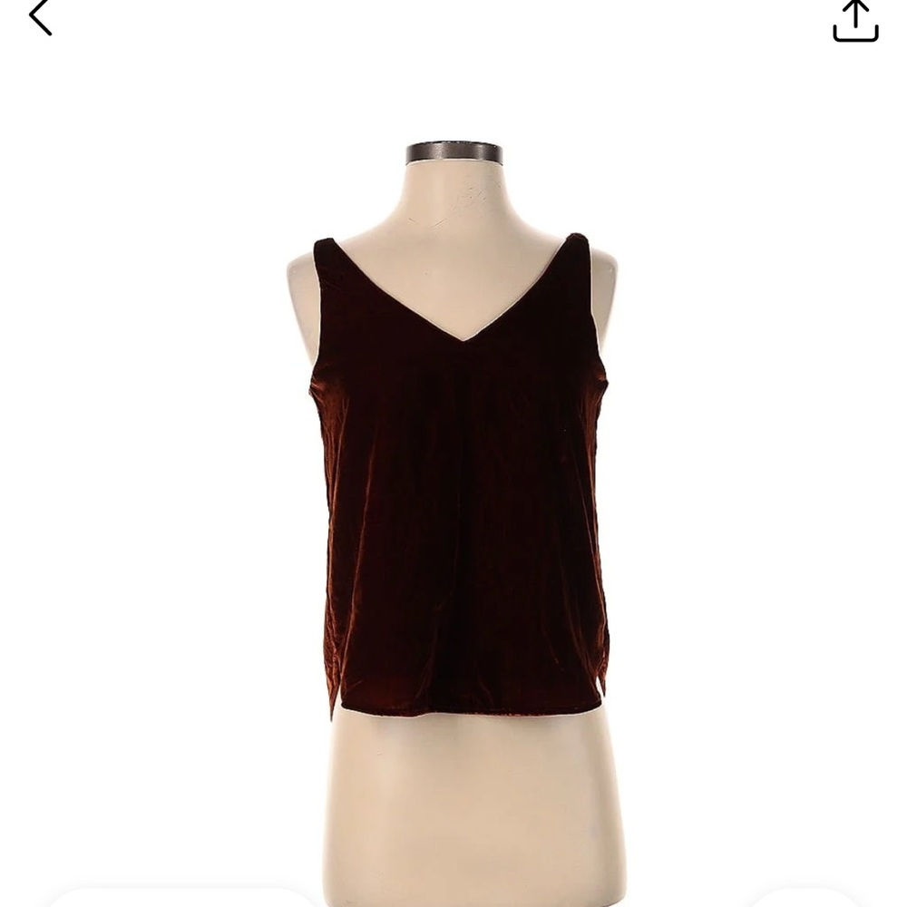 Ann Taylor LOFT Velvet V-Neck Top